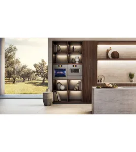 Combi steam oven with microwave